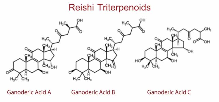 Red Reishi Triterpenoids