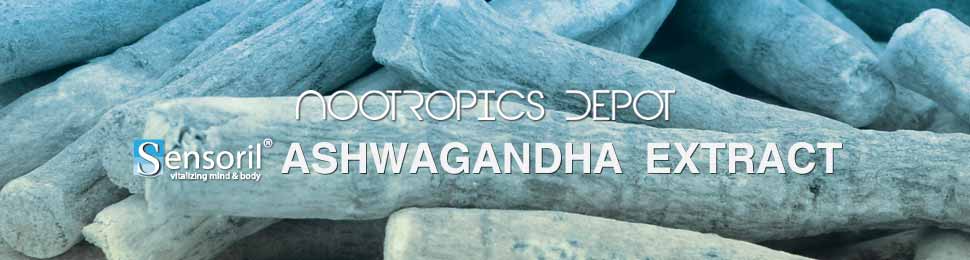 Sensoril Withania Somnifera Sensoril Ashwagandha Extract
