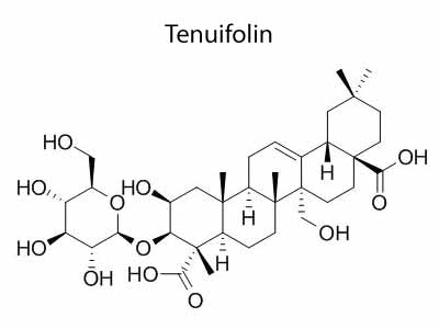 Tenuifolin Structure