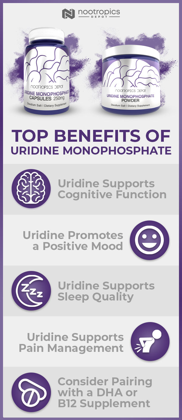 Uridine Monophosphate Infographic