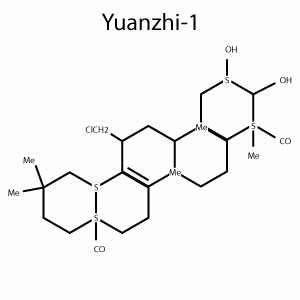 Yuanzhi-1 Structure